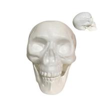 Enfeite Decorativo Crânio Branco Caveira Plástico - Gala
