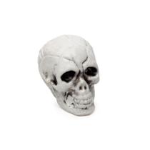 Enfeite Decorativo Halloween - Crânio de Esqueleto - 12 unidades - Crom