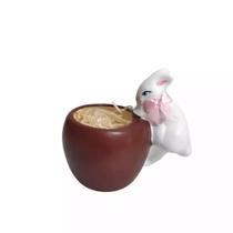 Enfeite Decorativo Pascoa Coelho no vaso Vasinho Pequeno 1pc Enfeite Decorativo Pascoa Coelho no vaso Vasinho Pequeno 1pc