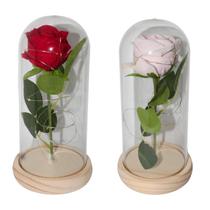 Enfeite Decorativo Rosa Eterna - Cores sortidas - FWB