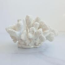 Enfeite Escultura de Poliresina Coral Branco 18 x12 x 12 cm - MART