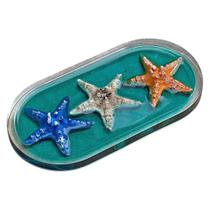 Enfeite Mesa Ou Quadro Estrela Concha Mar Pousada Verde-Mar