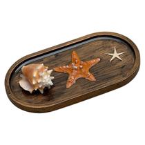 Enfeite Mesa Quadro Estrela Concha Mar Pousada Praia Dourado