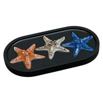 Enfeite Mesa Quadro Estrela Concha Mar Pousada Praia Preto