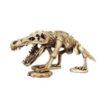Enfeite Nomoy Pet Esqueleto Dinossauro Enfeite Nomoy Pet Esqueleto Dinossauro