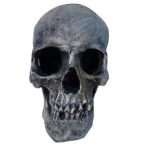 Enfeite ornamento resina cabeça crânio de caveira aquários Enfeite ornamento resina cabeça crânio de caveira aquários