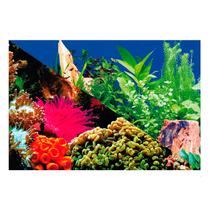 Enfeite Painel Imagem Para Aquario Doce Marinho 50x35cm N3 Enfeite Painel Imagem Para Aquario Doce Marinho 50x35cm N3
