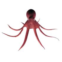 Enfeite para Aquário Maxxi Polvo YS-15106LB Marrom 18x7cm