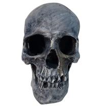 Enfeite Para Aquário Ou Ornamento Cabeça De Caveira - FRAGATA Enfeite Para Aquário Ou Ornamento Cabeça De Caveira - FRAGATA