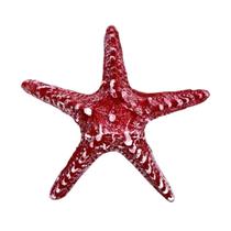 Enfeite para Parede 1 Estrela do Mar em Resina 15 cm Decoração Piscina