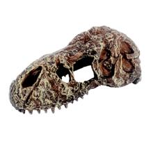 Enfeite Para Terrários E Aquarios Ns-111 Caveira Fossilizada - Nomoypet