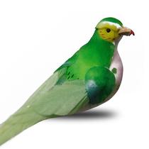 Enfeite Passarinhos kit com 36pçs de 12cm Penas Verde com Presilha para fixar na Decoração Enfeite Passarinhos kit com 36pçs de 12cm Penas Verde com Presilha para fixar na Decoração