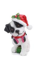 Enfeite pendurar cachorro c/gorro noel Enfeite pendurar cachorro c/gorro noel