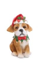 Enfeite pendurar cachorro c/gorro rena noel Enfeite pendurar cachorro c/gorro rena noel