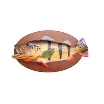 Enfeite Quadro Peixe Tucunaré Dourado Resina Base Madeira Enfeite Quadro Peixe Tucunaré Dourado Resina Base Madeira