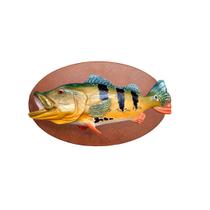 Enfeite Quadro Peixe Tucunaré Dourado Resina Base Madeira Enfeite Quadro Peixe Tucunaré Dourado Resina Base Madeira