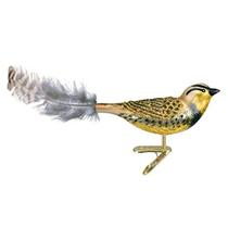 Enfeites de Natal do Velho Mundo: Coleção Bird Watcher Glass Blowown Ornaments para a árvore de Natal, Meadowlark (18069)