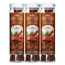 Enfeites de Natal perfumados, fragrâncias, canela, 18 palitos
