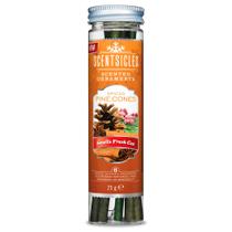 Enfeites de Natal perfumados Scentsicles 01647-012 Spiced Pine