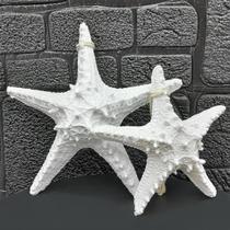 Enfeites Estrelas Mar Branca Casa Praia Oceano Mar Kit 2pçs