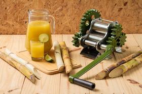 Engenho Para Cana Manual B60 Inox Botini Botimetal