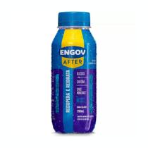 Engov After Berry Vibes 250ml Recupera e Reidrata Engov After Berry Vibes 250ml Recupera e Reidrata