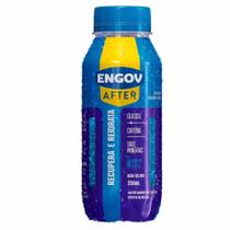 Engov After Berry Vibes Com 250ml - COMPRA 60DIAS