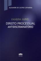 Ensaios sobre direito processual antidiscriminatório