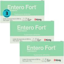 Entero Fort 2000mg Com 60 Comprimidos Para Cães e Gatos Kit Com 3