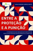 Entre a Proteção e a Punição: o Paradoxo da Ideologia Punitivista nas Lutas por Reconhecimento e Dir