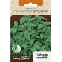 Env. ervas manjericao genovese 100 mg - topseed