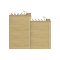 Envelope Adesivo Kraft Pardo SKN625 176x250mm Scrity 100un