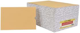 Envelope de boletim escolar School Smart Kraft Paper, pacote de 6 x 9 polegadas e 500 Envelope de boletim escolar School Smart Kraft Paper, pacote de 6 x 9 polegadas e 500