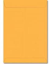 Envelope Saco 176x250mm Amarelo 10 Unidades 29.0120-9 Foroni Blister - LC