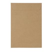 Envelope Saco Kraft 22,9cmx32,4cm Blister com 10 Unidades - FORONI