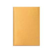 Envelopes Acolchoados Staples Easyclose - 9,5 x 13,5 cm (Pacote com 12)