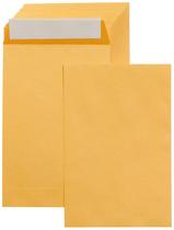 Envelopes para correspondência Amazon Basics, autoadesivos, 6x9 polegadas, pacote com 100 Envelopes para correspondência Amazon Basics, autoadesivos, 6x9 polegadas, pacote com 100