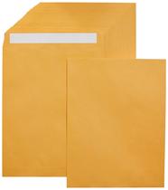 Envelopes para correspondência Amazon Basics Peel and Seal, 10 x 13 polegadas, pacote com 250