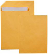 Envelopes para correspondência Amazon Basics Peel and Seal, 9 x 12 polegadas, pacote com 100
