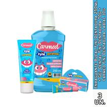 Enxaguante Bucal Fini Dentadura 250ml + Gel Dental Fini Dentadura 70g + Carmed Fini Dentadura Labial 10g Enxaguante Bucal Fini Dentadura 250ml + Gel Dental Fini Dentadura 70g + Carmed Fini Dentadura Labial 10g