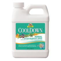 Enxágue após o treino Absorbine CoolDown Herbal Concentrate 946ml Enxágue após o treino Absorbine CoolDown Herbal Concentrate 946ml