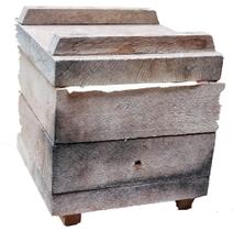 Enxame de Abelha Mirim Droriana - Abelha Nativa sem ferrão