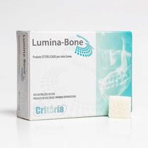 Enxerto Ósseo Bovino Lumina Bone Bloco Critéria Enxerto Ósseo Bovino Lumina Bone Bloco Critéria