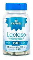 Enzima Lactase 60 Cápsulas De 500mg - Chamel Enzima Lactase 60 Cápsulas De 500mg - Chamel