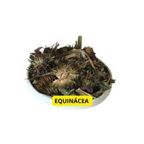 Equinácea 1Kg (Echinacea spp)
