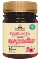 Equinácea extrato seco mtc 60 caps folhas e raizes