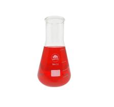 Erlenmeyer Boca Larga Graduado Vidro - IONGLASS