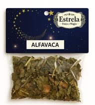 Erva Alfavaca na Umbanda e Candomblé Purificação Proteção Equilíbrio Espiritual Erva Alfavaca na Umbanda e Candomblé Purificação Proteção Equilíbrio Espiritual