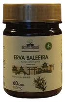 Erva baleeira 60 caps folhas e raizes