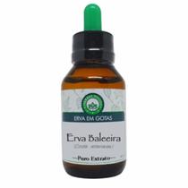 Erva Baleeira - Extrato 60ml - Herbal Foods